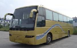 杭州国际旅行社租车服务 便捷出行，尽享无忧旅程